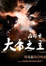 《大帝之主宰在都市》小说封面