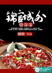 《锦官城外情深深》小说封面