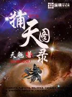 《捕天图录》小说封面