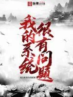 《我的系统很有问题》小说封面