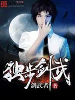 《独步剑武》小说封面
