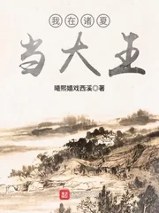 《我在诸夏当大王》小说封面