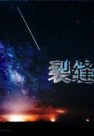 《裂缝玄关》小说封面