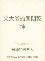 《文大爷的朗朗乾坤》小说封面