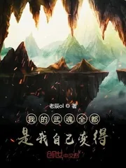 《我的武魂全都是我自己变得》小说封面