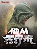 《他从灵界来》小说封面