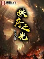 《秩序之光》小说封面