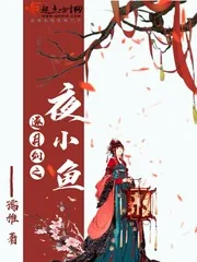 《逐月剑之夜小鱼》小说封面