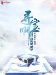 《我只想简简单单寻宝啊》小说封面