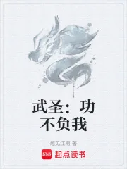 《武圣:功不负我》小说封面