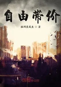 《自由带价》小说封面