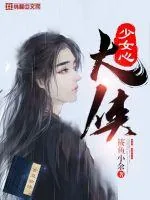 《少女心大侠》小说封面