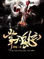 《掌天风云》小说封面