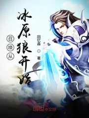 《召唤从冰原狼开始》小说封面