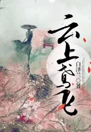 《云上鸢飞》小说封面