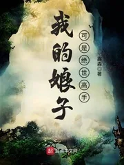 《我的娘子可是绝世高手》小说封面