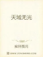 《天域无光》小说封面