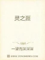 《灵之涯》小说封面