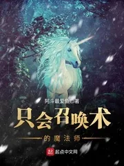 《只会召唤术的魔法师》小说封面