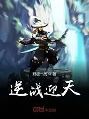 《逆战迎天》小说封面