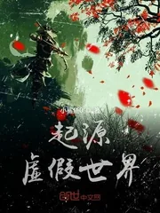 《起源虚假世界》小说封面