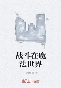 《战斗在魔法世界》小说封面