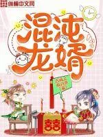 《混沌龙婿》小说封面