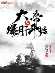 《大帝从爆肝开始》小说封面