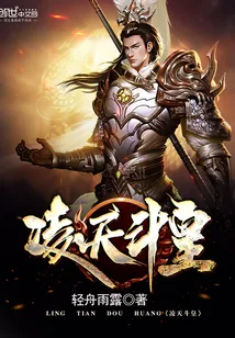 《凌天斗皇》小说封面