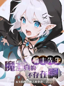 《骑士先生，魔王真的不存在啊》小说封面