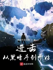 《进击从黑暗序列开始》小说封面