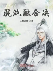 《混沌融合决》小说封面