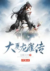 《大夏龙雀传》小说封面