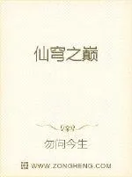 《仙穹之巅》小说封面