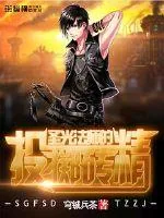 《圣光法师的投掷砖精》小说封面