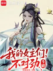 《斗破，我的女主们不对劲》小说封面