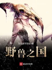 《野兽之国》小说封面