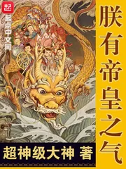 《朕有帝皇之气》小说封面
