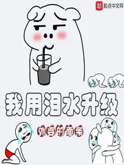 《我用泪水升级》小说封面