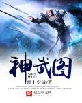 《神武图》小说封面