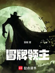 《冒牌领主》小说封面
