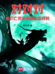 《对对对,我们亡灵法师就是这样的》小说封面