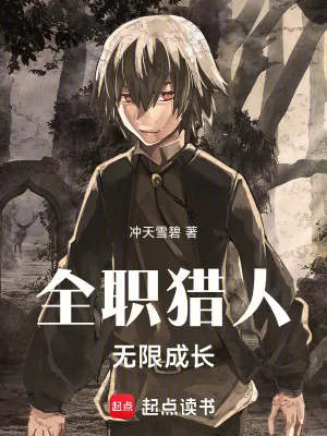 《全职猎人:无限成长》小说封面