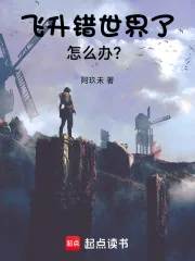《飞升错世界了怎么办?》小说封面