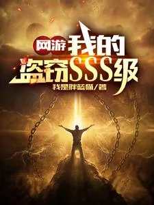 《网游:我的盗窃SSS级》小说封面