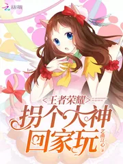 《王者荣耀:拐个大神回家玩》小说封面