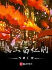 《根正苗红的木叶忍者》小说封面