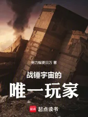 《战锤宇宙的唯一玩家》小说封面