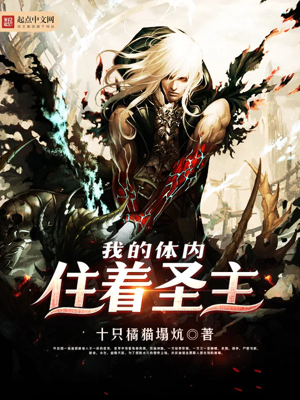 《我的体内住着圣主》小说封面