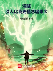《海贼:没人比我更懂恶魔果实》小说封面